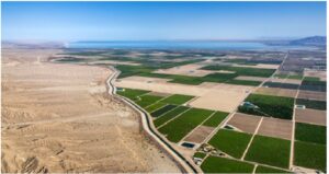 تقنيات تطوير الصحراء